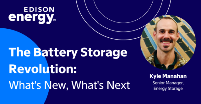 Battery storage is defying energy sector challenges, with risk mitigation and positive ROIs driving mass adoption