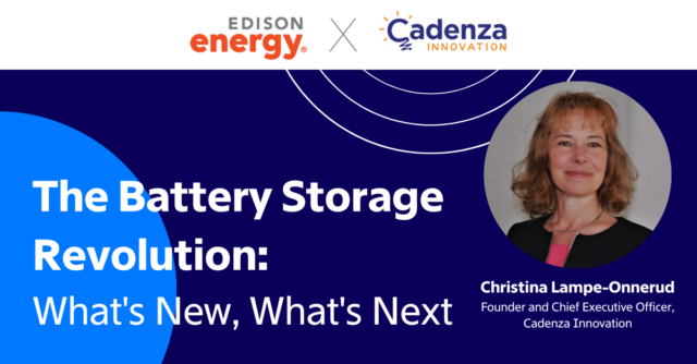 Growth of U.S. energy storage will hinge on innovation, engagement, and a robust domestic supply chain: “We could be a battery nation”